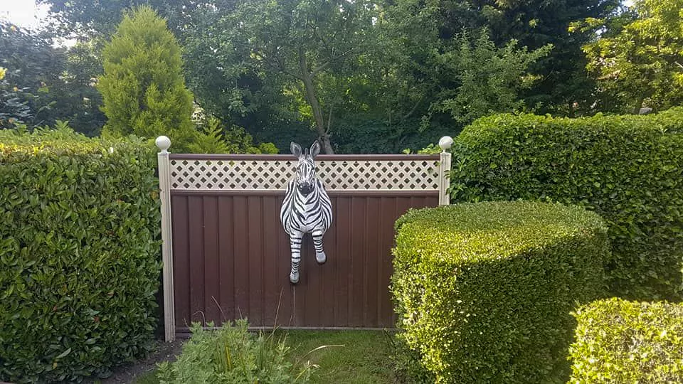 A brown colourfence garden fence with a zebra on