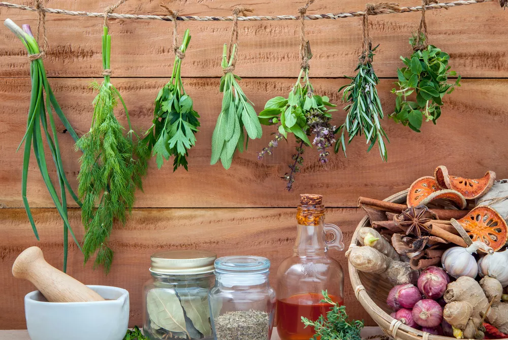Hanging herbs