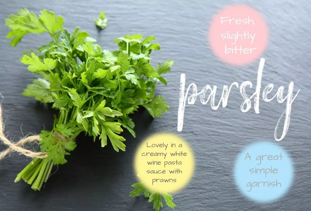 growing herbs like parsley