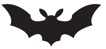 black bat